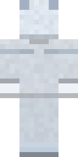 The back of the Arctic Fox Minecraft skin, flat from the file: the back of the animal outfit with its fox and arctic detailing