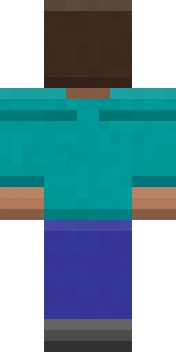 The back of the Derp Steve Minecraft skin, flat from the file: the back of the meme outfit with its derp and steve detailing