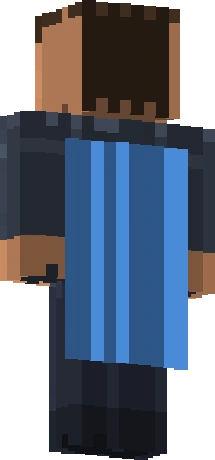 Illustration of the cape slot on the Minecraft player model in the rare tint, for the Founder's Cape, which was added in version 1.0 on Java
