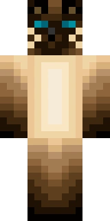 The Minecraft skin worn by Antfrost, shown flat from the front: a orange 64x32 skin on the steve model with 32 distinct colours