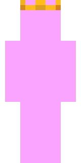 The back of the Minecraft skin worn by Baablu, shown flat with the same pixels the game wraps around the back of the player model
