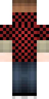 The back of the Minecraft skin worn by BajanCanadian, shown flat with the same pixels the game wraps around the back of the player model