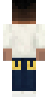 The back of the Minecraft skin worn by BdoubleO100, shown flat with the same pixels the game wraps around the back of the player model