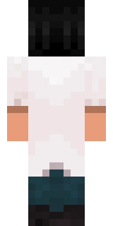 The back of the Minecraft skin worn by cubfan135, shown flat with the same pixels the game wraps around the back of the player model