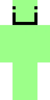 The Minecraft skin worn by fruitberries, shown flat from the front: a green and black 64x64 skin on the steve model with 16 distinct colours