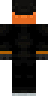 The back of the Minecraft skin worn by Fundy, shown flat with the same pixels the game wraps around the back of the player model