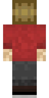 The back of the Minecraft skin worn by Grian, shown flat with the same pixels the game wraps around the back of the player model