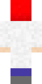 The back of the Minecraft skin worn by Grumm, shown flat with the same pixels the game wraps around the back of the player model