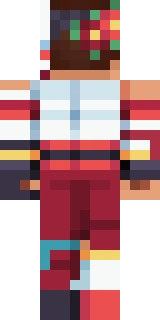 The back of the Minecraft skin worn by HBomb94, shown flat with the same pixels the game wraps around the back of the player model