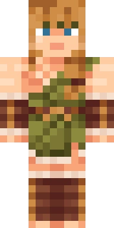 The Minecraft skin worn by InTheLittleWood, shown flat from the front: a orange 64x64 skin on the steve model with 28 distinct colours
