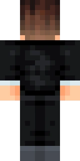 The back of the Minecraft skin worn by kingbdogz, shown flat with the same pixels the game wraps around the back of the player model