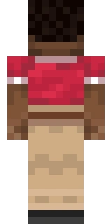 The back of the Minecraft skin worn by Minecraftgamer, shown flat with the same pixels the game wraps around the back of the player model