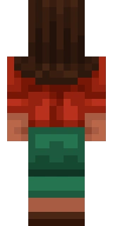 The back of the Minecraft skin worn by MrCrainer, shown flat with the same pixels the game wraps around the back of the player model