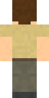 The back of the Minecraft skin worn by Nilesy, shown flat with the same pixels the game wraps around the back of the player model