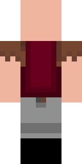 The back of the Minecraft skin worn by Notch, shown flat with the same pixels the game wraps around the back of the player model