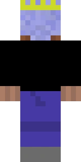 The back of the Minecraft skin worn by Preston, shown flat with the same pixels the game wraps around the back of the player model