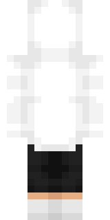 The back of the Minecraft skin worn by Punz, shown flat with the same pixels the game wraps around the back of the player model