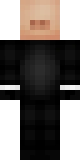 The back of the Minecraft skin worn by Searge, shown flat with the same pixels the game wraps around the back of the player model