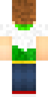 The back of the Minecraft skin worn by Slimecicle, shown flat with the same pixels the game wraps around the back of the player model