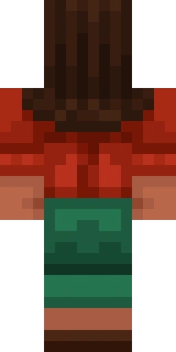 The back of the Minecraft skin worn by solidarity, shown flat with the same pixels the game wraps around the back of the player model