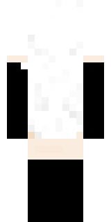 The back of the Minecraft skin worn by sylvee, shown flat with the same pixels the game wraps around the back of the player model