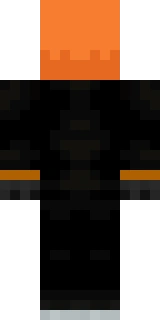 The back of the Minecraft skin worn by SystemZee, shown flat with the same pixels the game wraps around the back of the player model