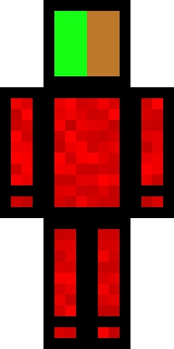 The back of the Minecraft skin worn by TapL, shown flat with the same pixels the game wraps around the back of the player model