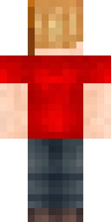 The back of the Minecraft skin worn by Tewtiy, shown flat with the same pixels the game wraps around the back of the player model