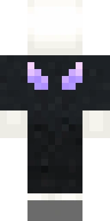 The back of the Minecraft skin worn by TheMogMiner, shown flat with the same pixels the game wraps around the back of the player model