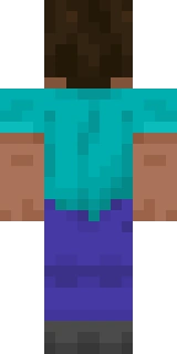 The back of the Minecraft skin worn by Tubbo_, shown flat with the same pixels the game wraps around the back of the player model