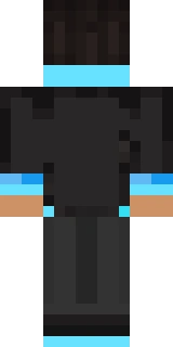 The back of the Minecraft skin worn by Vasehh, shown flat with the same pixels the game wraps around the back of the player model