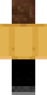 The back of the Minecraft skin worn by WilburSoot, shown flat with the same pixels the game wraps around the back of the player model