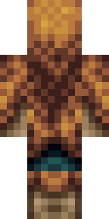 The back of the Minecraft skin worn by xlson, shown flat with the same pixels the game wraps around the back of the player model