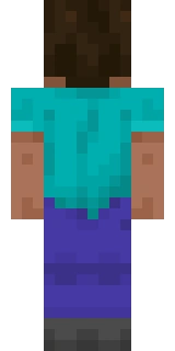 The back of the Minecraft skin worn by zoeya, shown flat with the same pixels the game wraps around the back of the player model